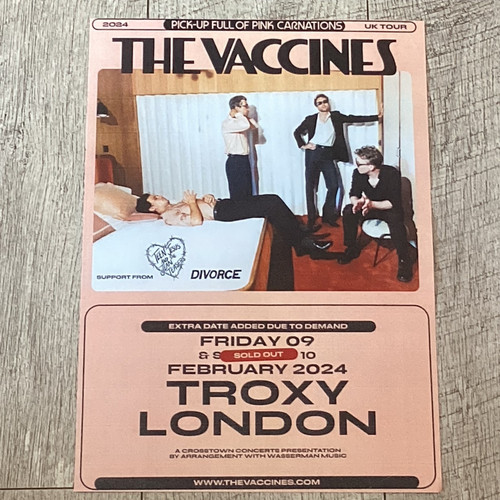 The vaccines concert poster - the,