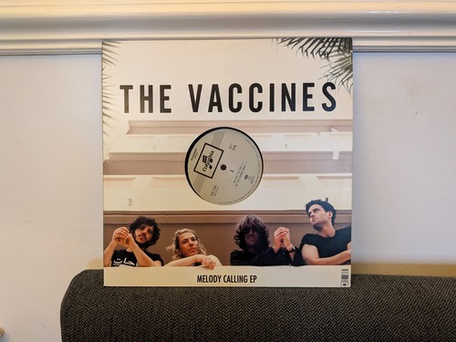 The vaccines melody calling - the,